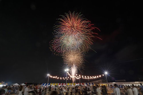 大玉村の夏の風物詩、夜空を彩る打ち上げ花火大会