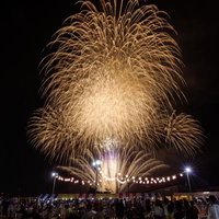 大玉村花火大会の打上げ花火が夜空に広がる光景の写真
