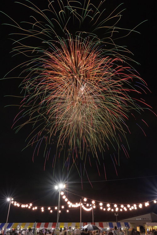 大玉村花火大会の夜空に咲く光の舞 赤黄緑青紫の火花が放射状に広がる