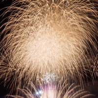 大玉村夏祭り 金色にきらめく打ち上げ花火の写真