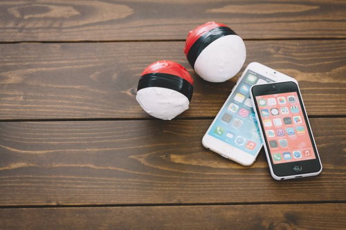 紅白ボールとスマホを持って冒険に出かけよう