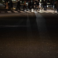 夜道の横断歩道を渡り帰路に就く人々と街灯の写真