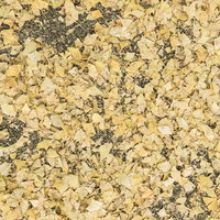 黄色く色づいた銀杏の落葉のテクスチャーの写真