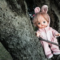 岩場に置き去られた子供のピンク色うさぎ人形の写真
