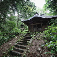 林の開けた場所に建てられた古いお堂と苔むした石段の写真