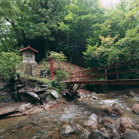 渓谷を渡った先にある荒澤不動明王が祀られた洞口不動堂の写真