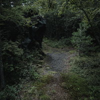 森の中で左右に分かれる薄暗い山道の写真