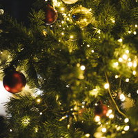 電飾でライトアップされたクリスマスツリーの写真
