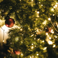 ライトアップしたクリスマスツリーと赤いオーナメントの写真