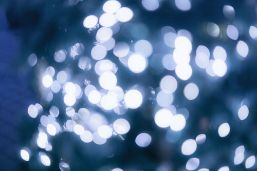 青白い光が丸くぼけた玉のようなライトアップ
