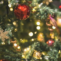 ライトアップされた点灯クリスマスツリーとカラフルなオーナメント装飾の写真