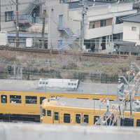 山陽本線を走るクハ115形電車、駅に停車する黄色い通勤電車の写真