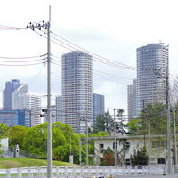 武蔵小杉に立ち並ぶタワーマンション群の街並みの写真