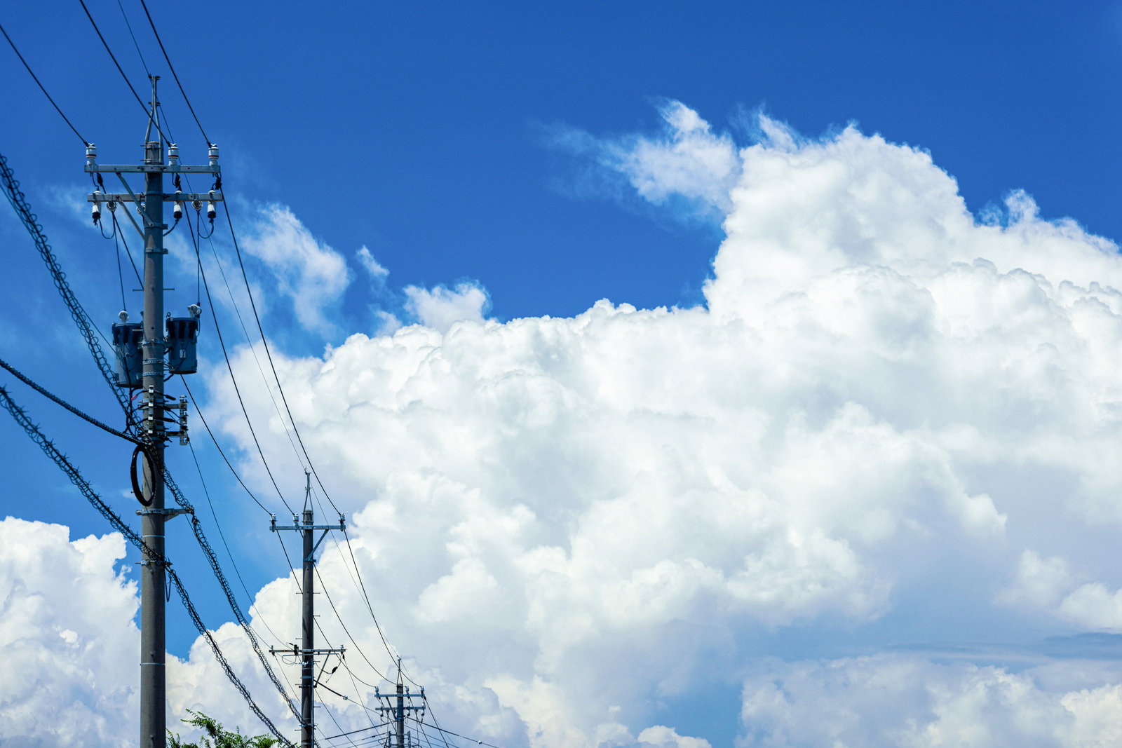 青空に白い積乱雲が立ち上がり、複数の電柱が縦に並んでいる夏の風景