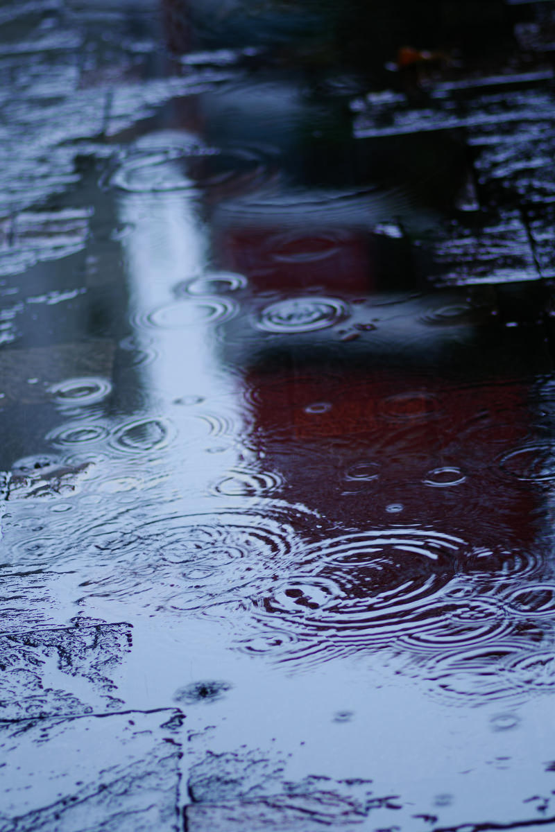 雨が降る中、水溜りの表面に広がる複数の同心円状の波紋