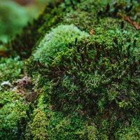 人けのない静かな砂浜と青緑の海の写真