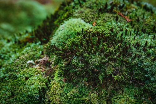 人けのない静かな砂浜と青緑の海