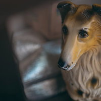 玄関先に置かれた犬の置物がじろりと見つめるの写真