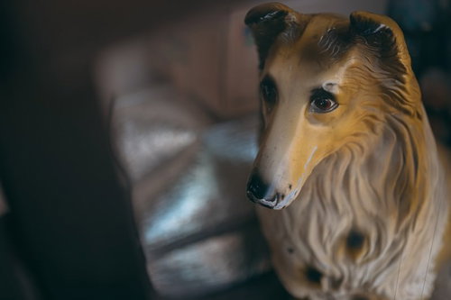玄関先に置かれた犬の置物がじろりと見つめる