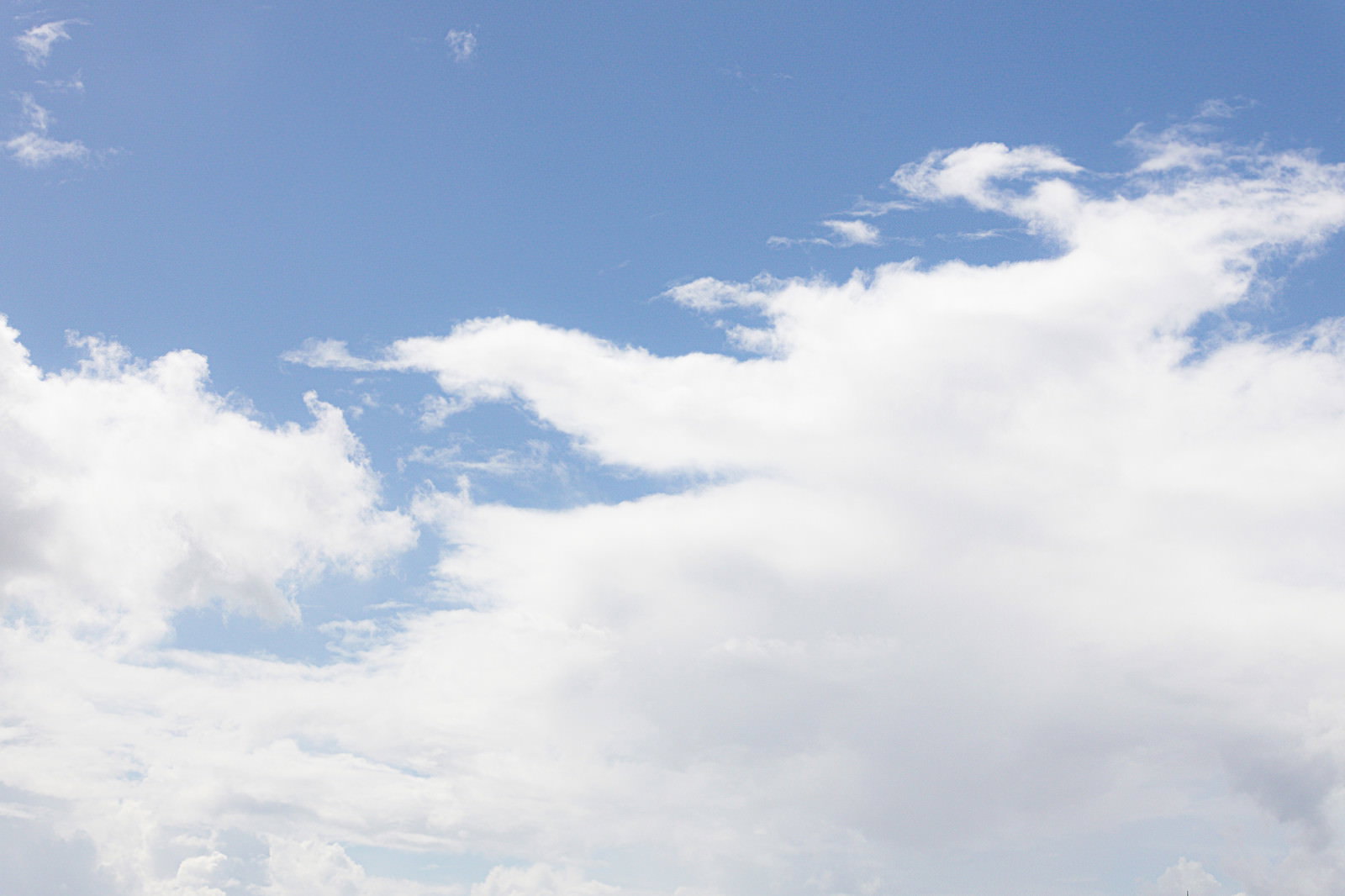 青空に広がる白い積雲