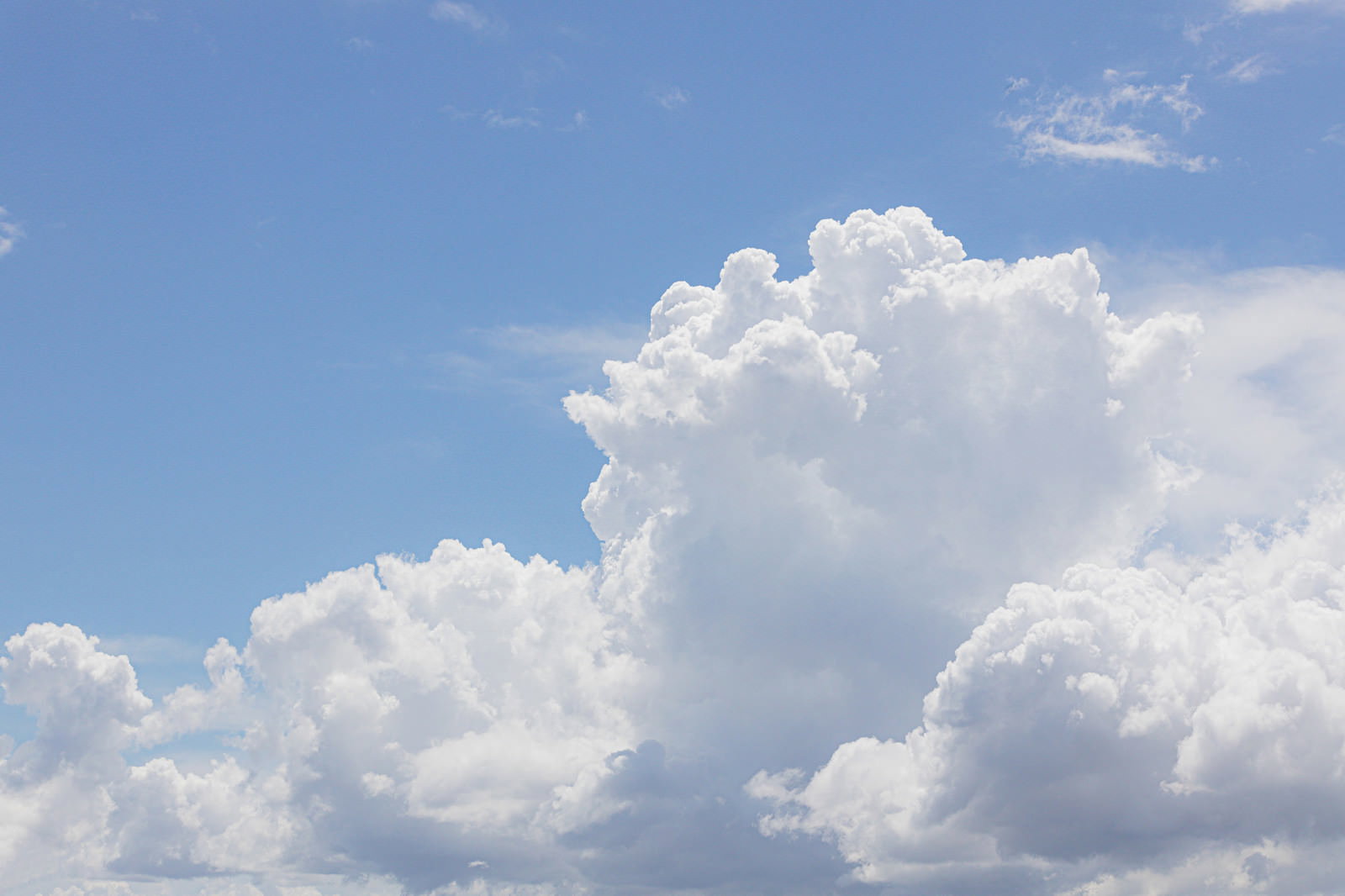 青空に立体的に膨らんだ白い積乱雲が浮かんでいる夏空の風景