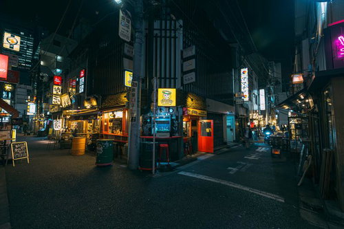 新橋の路地裏に立ち並ぶ飲み屋街の夜景と居酒屋の灯り