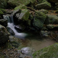 白谷沢の山道沿いで岩場を流れる小川と苔むした岩の写真