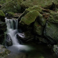 険しい山道の岩場を流れる小さな滝と苔むした渓流の写真