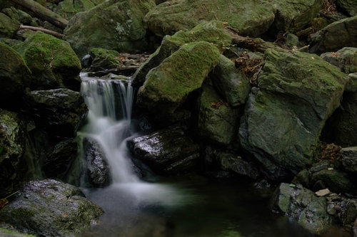 険しい山道の岩場を流れる小さな滝と苔むした渓流