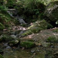 山道沿いの山奥の小川を流れる清流と苔むした岩の写真