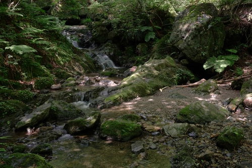 山道沿いの山奥の小川を流れる清流と苔むした岩