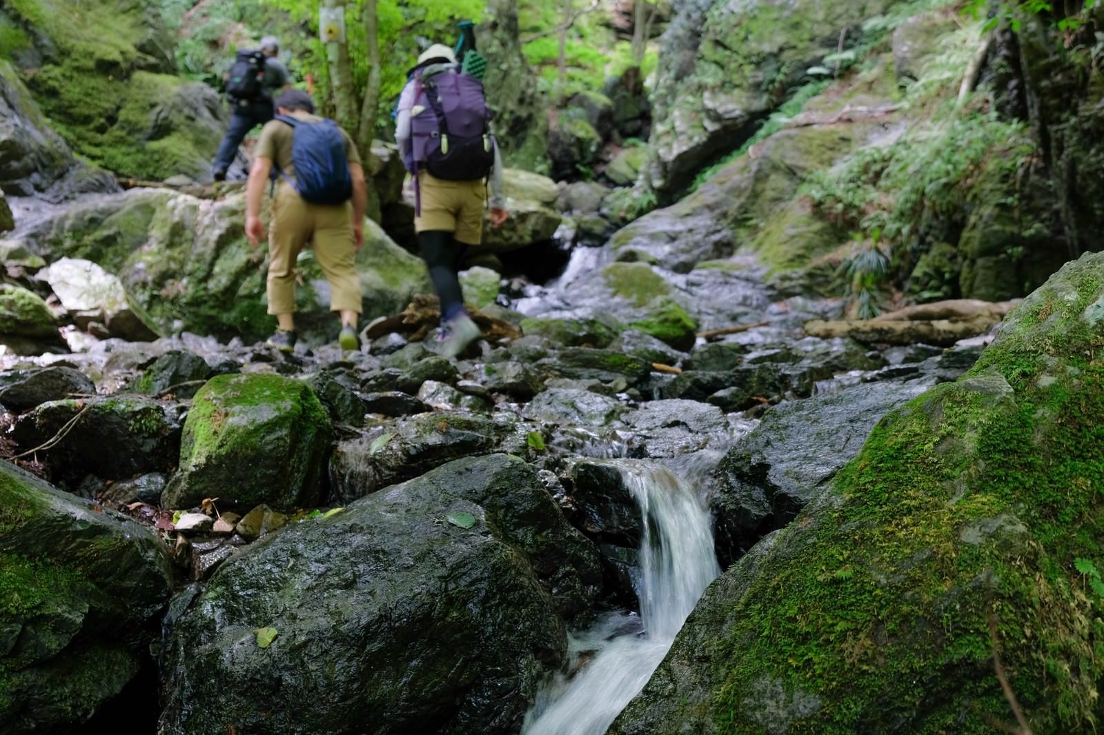 苔むした岩場の沢を慎重に歩く登山装備の登山者たち