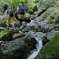 苔むした沢を歩く登山者たち、渓流の岩場を慎重に進むの写真
