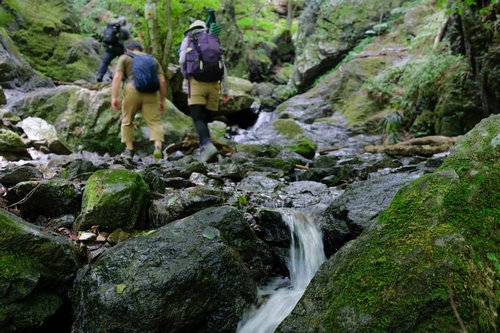 苔むした沢を歩く登山者たち、渓流の岩場を慎重に進む