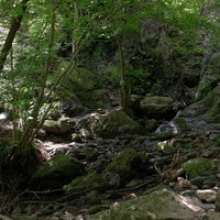 牢門の渓谷、白谷沢沿いの苔むした岩場と棒ノ嶺の山道の写真
