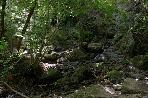 牢門の渓谷、白谷沢沿いの苔むした岩場と棒ノ嶺の山道