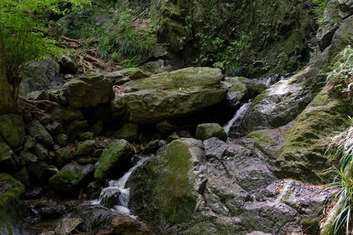 岩を穿つ流れ、登山道の渓流 山道沿いの清流風景