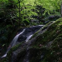 緑鮮やかな棒ノ嶺・藤懸の滝の写真