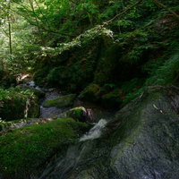 深い緑の森に囲まれた上から覗く藤懸の滝の清流の写真