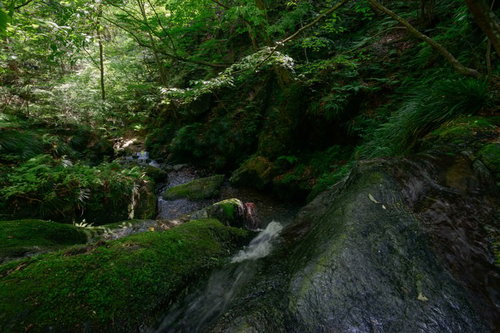 深い緑の森に囲まれた上から覗く藤懸の滝の清流