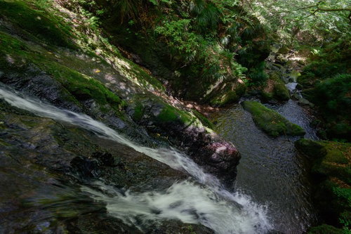 岩場を流れる透明な湧き水と上流の渓流の自然風景
