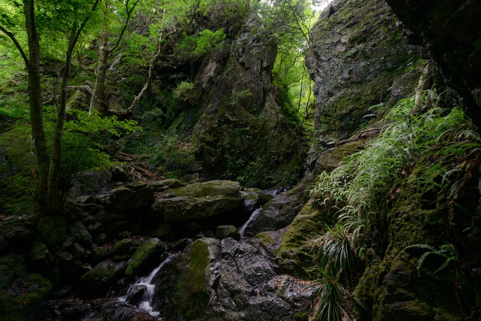 棒ノ嶺の牢門、深い森の中を流れる小川と苔むした岩