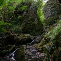 棒ノ嶺の牢門、渓谷の小川と苔むした岩場の自然風景の写真