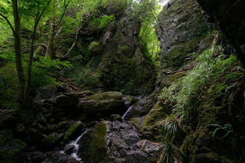 棒ノ嶺の牢門、渓谷の小川と苔むした岩場の自然風景