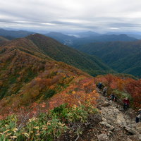 紅葉する谷川岳の稜線を歩く登山者の秋景色の写真