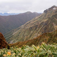 黄葉する木々と霞む秋の谷川岳の山峰の写真