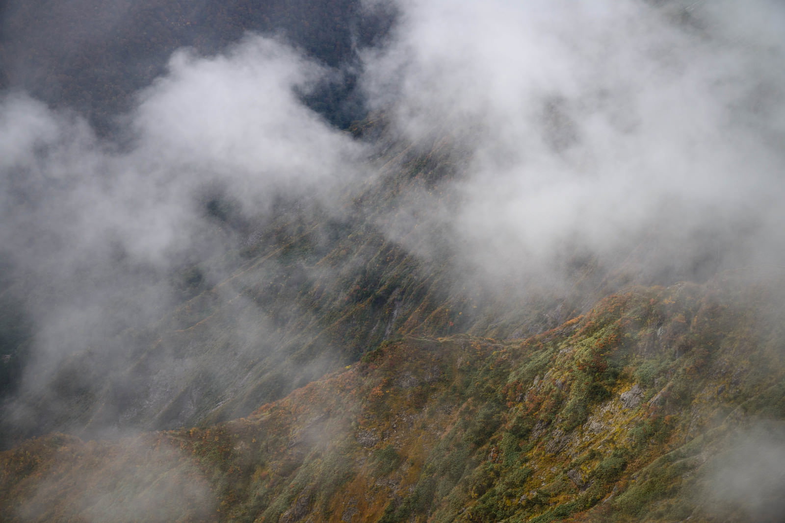 雲に包まれた秋の谷川岳、紅葉で色づく山肌と白い雲のコントラスト