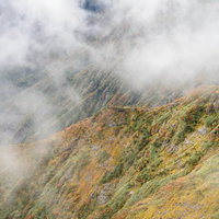 霧に包まれた谷川岳の色づく山肌（森林限界地点）の写真