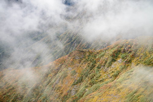 霧に包まれた谷川岳の色づく山肌（森林限界地点）