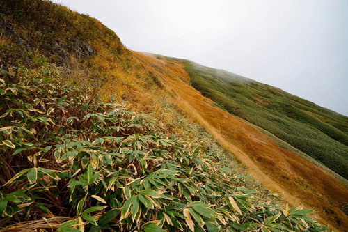 秋の笹が茂る谷川岳の黄葉する山肌と登山風景